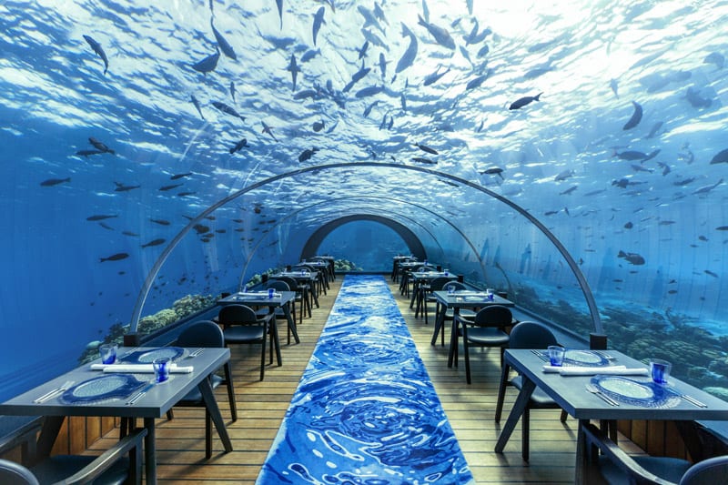 5 Best undersea restaurants in Maldives that will leave you in awe