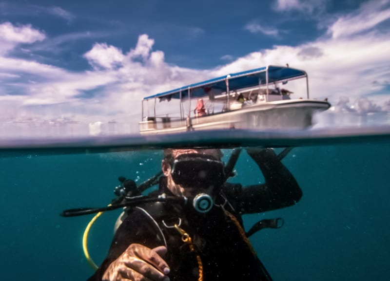 Essential tips for divers visiting the Maldives