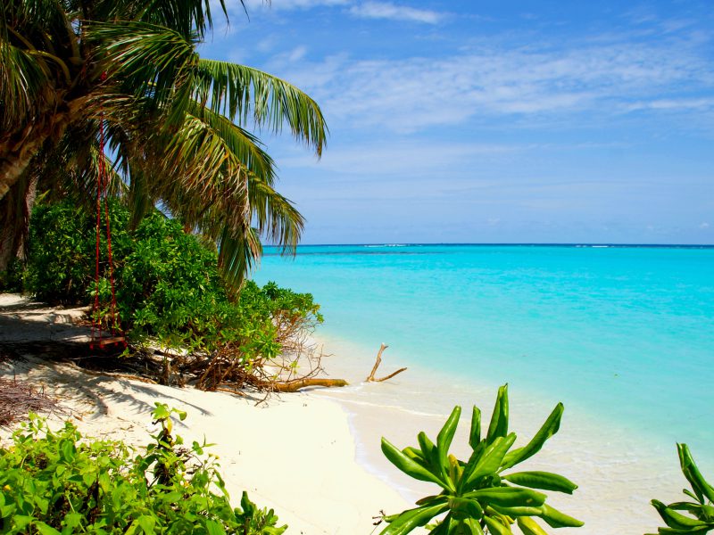 The natural beauty of Thoddoo Island, Maldives