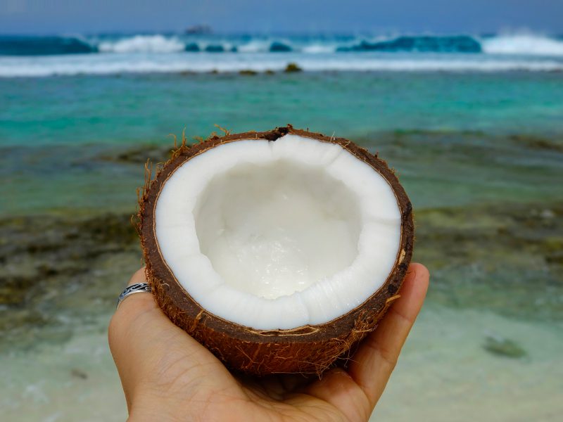 Eating a coconut on the beach at Himmafushi