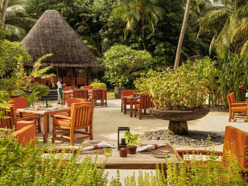 Best vegan and vegetarian restaurants in the Maldives