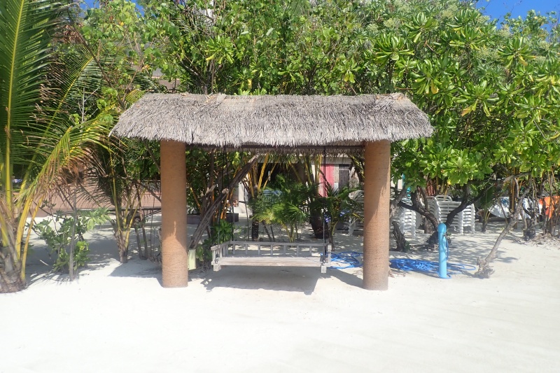 Dhiffushi island guide